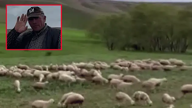 Arazide sürüsünü yayan 49 yaşındaki çoban feci şekilde hayatını kaybetti
