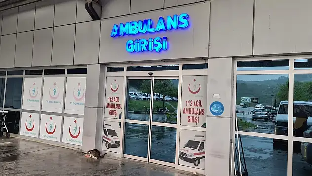 Arı sokması hayati tehlikeye yol açtı: Yoğun bakıma alındı!