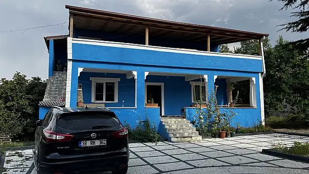 Arıların saldırısına uğrayan aile dehşeti yaşadı: Baba ve kızı hastaneye kaldırıldı