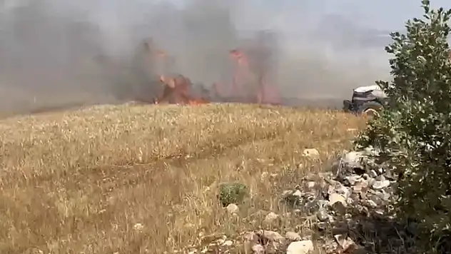 Arpa ekili arazide yangın paniği!