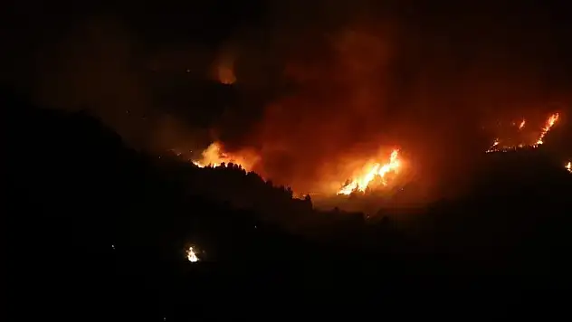 Aşırı sıcaklar orman yangınlarına neden oldu: 12 ölü
