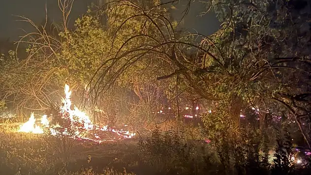 Aynı ilde 3 ayrı noktada korkutan yangınlar!