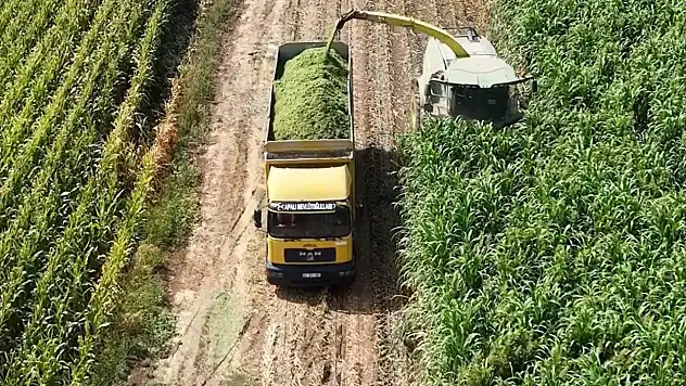 Az suyla çok verim! Konya tarımına alternatif ürün ortaya çıktı!