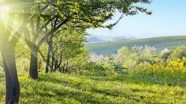 Baharı birlikte karşıladılar!