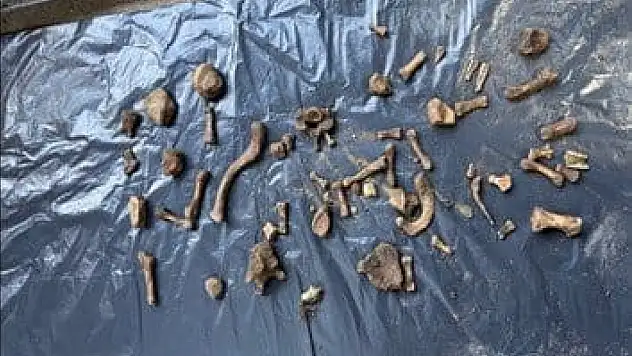 Bahçede bulunan kemikler, 4 yıl önceki cinayeti aydınlattı