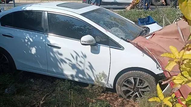 Bahçede hasat yapıyorlardı! Ecel böyle geldi…