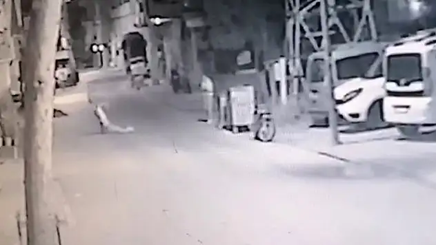 Bayıltana kadar dövüp yol kenarında bıraktı