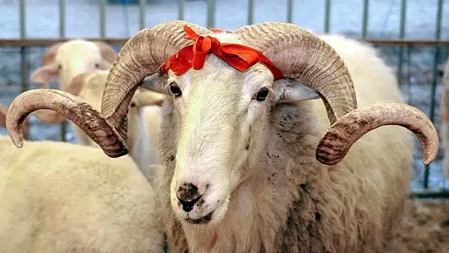 Bayram sofralarında sağlık alarmı! Kırmızı et tüketiminde uzmanlardan altın kurallar