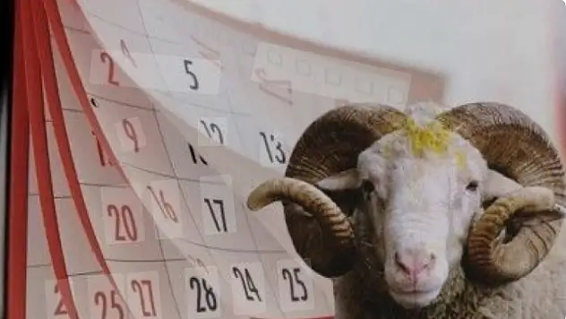 Bayram tatili planı yapanlara üzücü haber