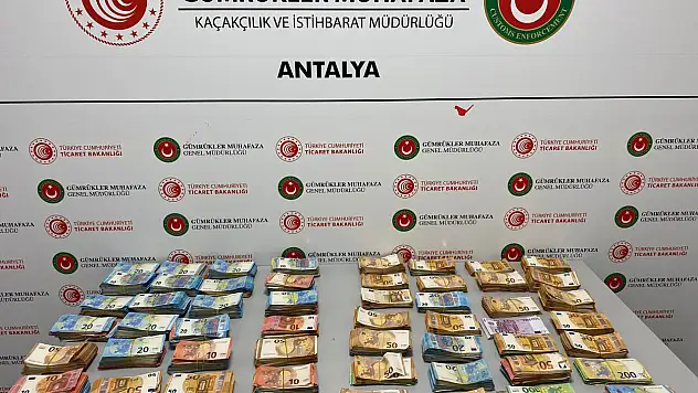 Bebek bezinin içinden servet çıktı