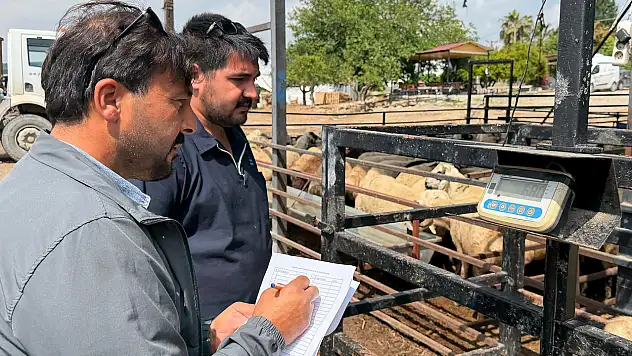 Belediyeden şehit ailelerine anlamlı destek