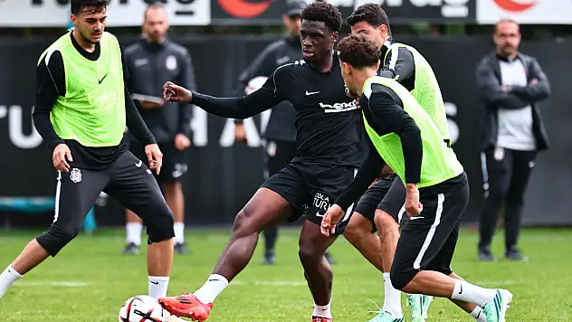 Beşiktaş'ta Hoffenheım mesaisi başladı