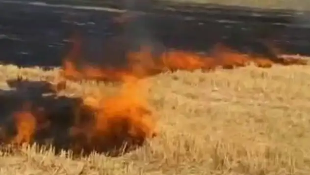 Beyşehir'de 2 farklı noktada çıkan anız yangını korkuttu!