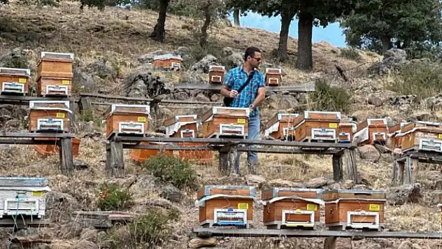 Beyşehir'de arı kovanları tespit ediliyor!