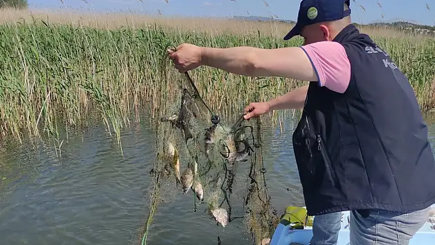 Beyşehir'de avcılıkla mücadele sürüyor