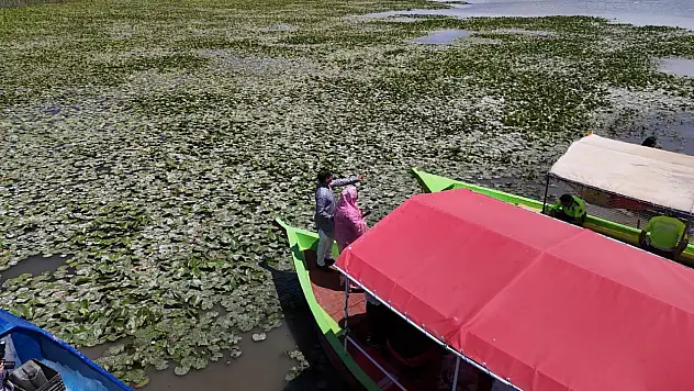 Beyşehir'de 'Bangladeş Su Nilüferi' etkinlikleri