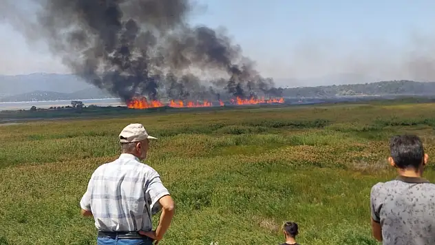 Beyşehir'de korkutan yangın!