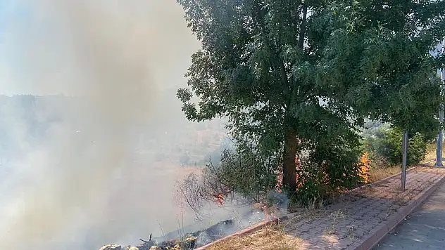 Beyşehir'de otluk alanda yangın: Neyse ki korkulan olmadı!