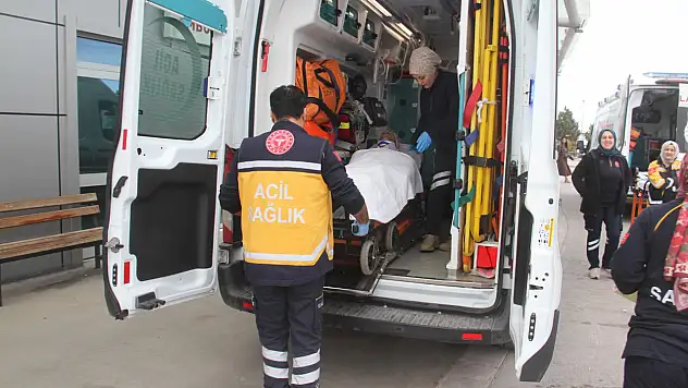 Beyşehir'de talihsiz kaza: Kendi danası hastanelik etti