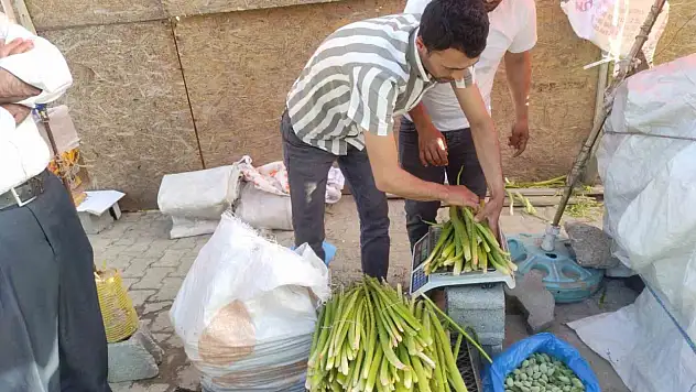 binbir derde deva yayla muzu rağbet görüyor