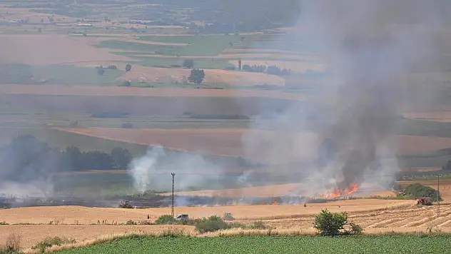 Bir buğday tarlası yangını daha!