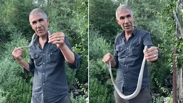 Bir ısırığı hayatına mal olabilecekken, onu boynuna doladı