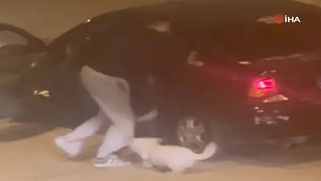 Bir şahıs, genç kıza ve köpeğine saldırdı!