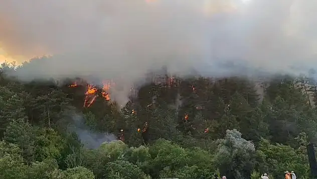 Bolu'da korkutan yangın: Söndürme çalışması devam ediyor!