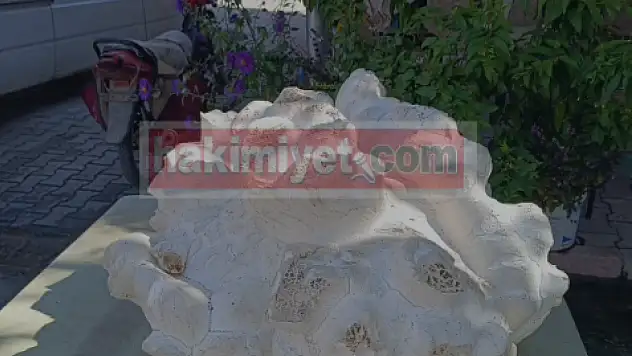 Böylesi ne görüldü ne duyuldu:  Konya'da 20 kiloluk dev mantar bulundu!