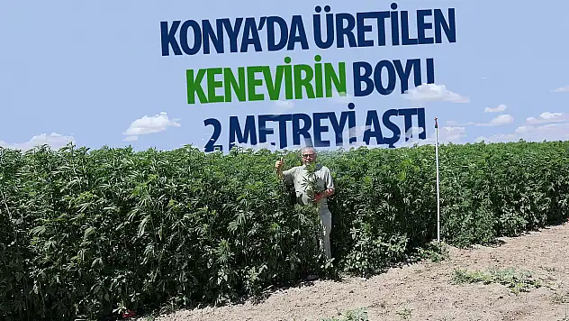 Boyu 2 metreyi aştı