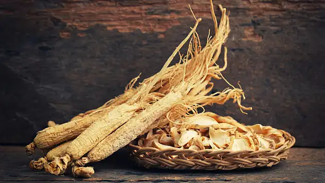 Bu bitki yaşlanmayı yavaşlatıyor: Daha ne gibi faydaları var?