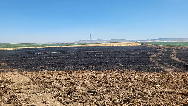 Buğday tarlasında çıkan yangın paniğe neden oldu