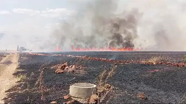 Buğday tarlasında yangın çıktı