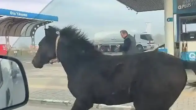  Bursa caddelerinde davetsiz misafir!