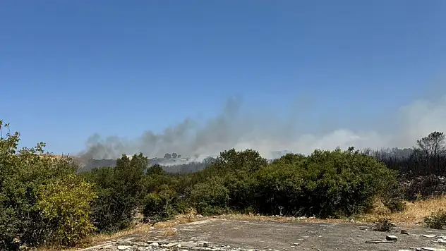 Bursa'da çıkan orman yangınında son durum...