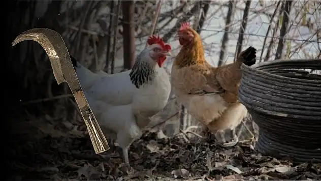 Büyük kavgada 10 kişi yaralandı