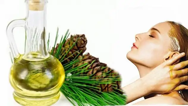 Çam Terebentin Nedir? Çam Terebentin Yağının Faydaları Nelerdir? Çam Terebentin Yağı Nasıl Kullanılır?