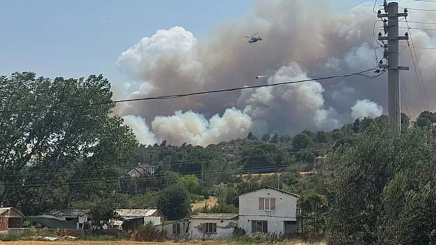 Çanakkale'de korkutan yangın!