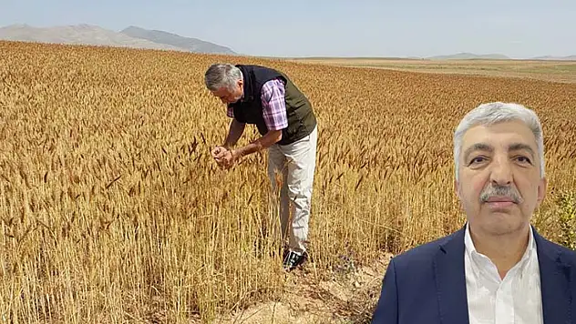 Çevik:  Kaliteli buğday ve arpa müdahil fiyatın üzerinde işlem görüyor!