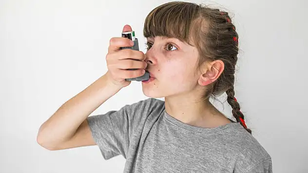 Çevre kirliliği alerji vakalarını arttırdı