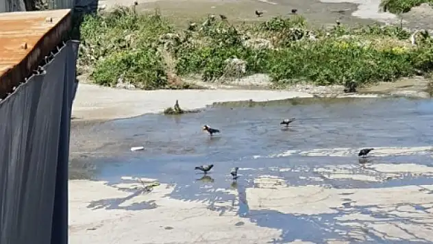 Çevre, Şehircilik ve İklim Değişikliği Bakanlığı'ndan İBB'ye bağlı kuruma şok ceza!