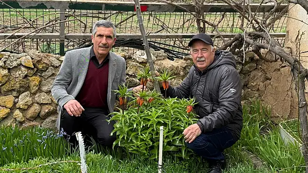 Cezasıyla koparanın cebini yakan o çiçekler açtı