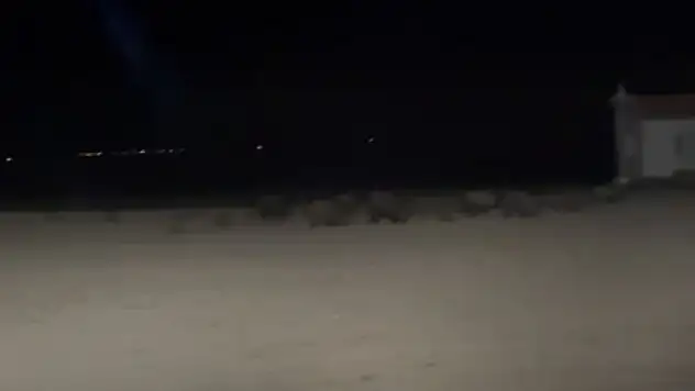 Çiftçilerden yetkililere çağrı: Konya'da domuz alarmı!