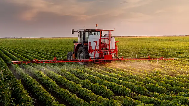 Çiftçilere müjde! Beklenen destek ödemesi bugün hesaplara yatıyor