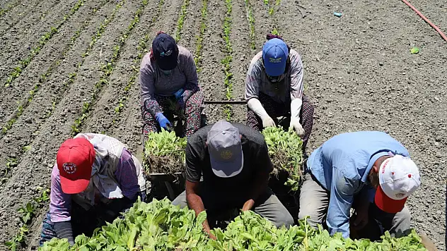 Çiftlikte başlayan hukuk savaşı milyonları ilgilendiren karara dönüştü
