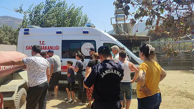 Çiftlikte yangın çıktı: 16 büyükbaş hayvan telef oldu