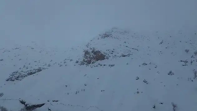 Çığ altında kalan 45 hayvan telef oldu!