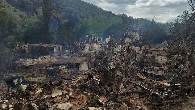 Çıkan orman yangınlarında 106 kişi dumandan etkilendi