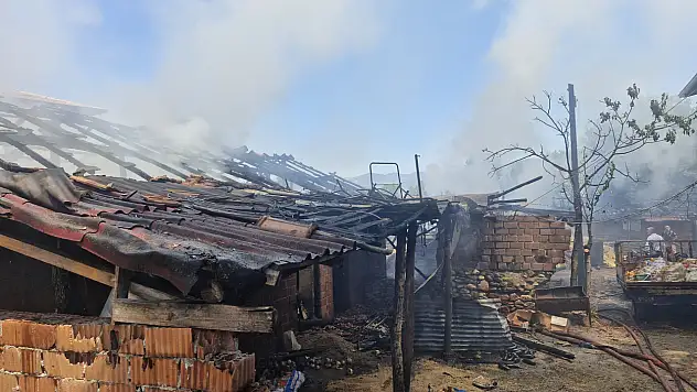 Çıkan yangında 7 büyükbaş hayvan öldü