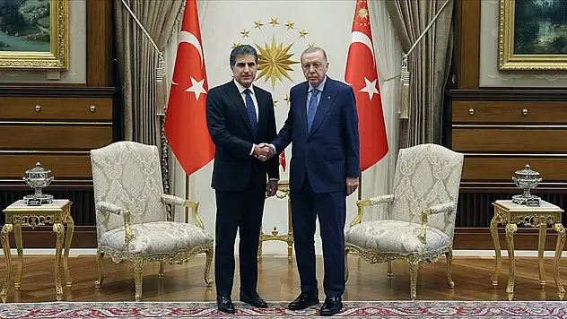 Cumhurbaşkanı Erdoğan, IKBY Başkanı Barzani ile görüştü